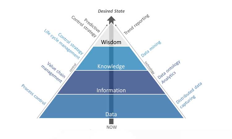 Figure 5: Pyramid of Wisdom