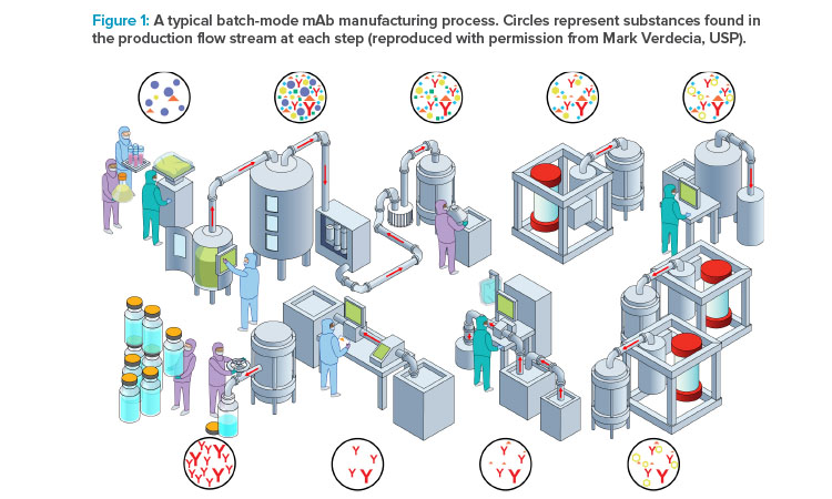 Figure 1: A typical batch-mode mAb manufacturing process. Circles represent substances found in the production fl ow stream at each step (reproduced with permission from Mark Verdecia, USP).