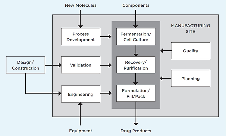 Figure 1: Functions and flows at a biomanufacturing site - ISPE Pharmaceutical Engineering
