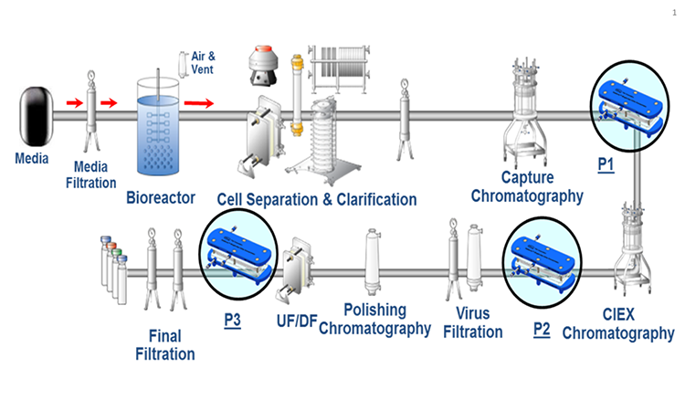 Figure 1: Schematic Of A Mab Production Process. The Capture Step Uses Affinity Chromatography; The Polishing Chromatography Is An Ion-exchange Chromatography. This Configuration Was Tested For In-line Concentration In Steps P1, P2, AND P3.