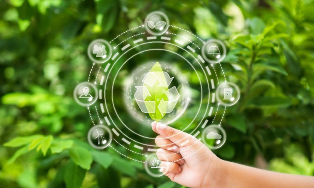 Approaching Sustainability: Progress Toward Carbon-Neutrality in Life Sciences
