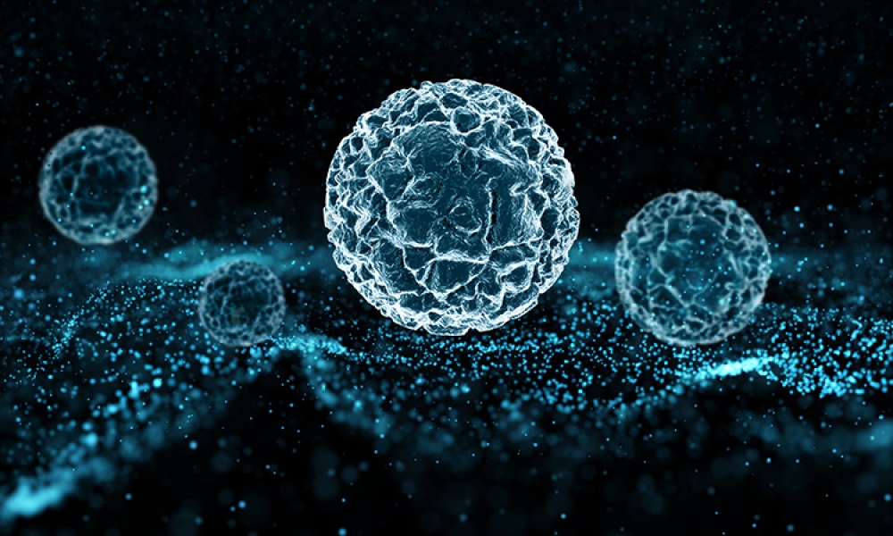 particles-virus-cells-floating-Image by kjpargeter