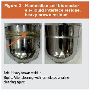 Figure 2: Mammalian Cell Bioreactor Air-Liquid Interface Residue, Heavy Brown Residue